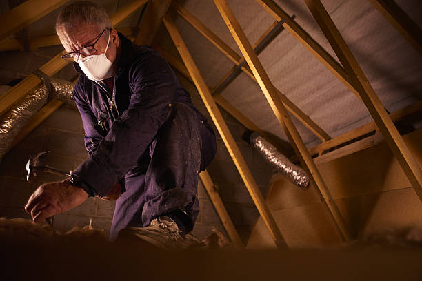 Best Specialized Insulation Services in Kaumakani, HI