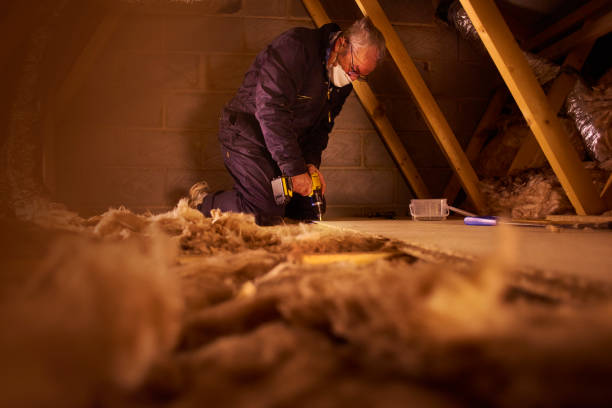 Professional Insulation Contractor in Kaumakani, HI